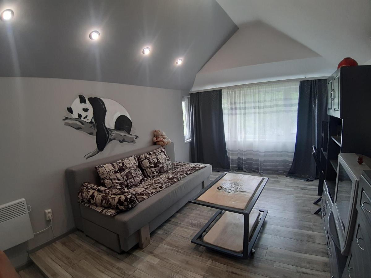 Appartamento Barlig Jaremče Esterno foto